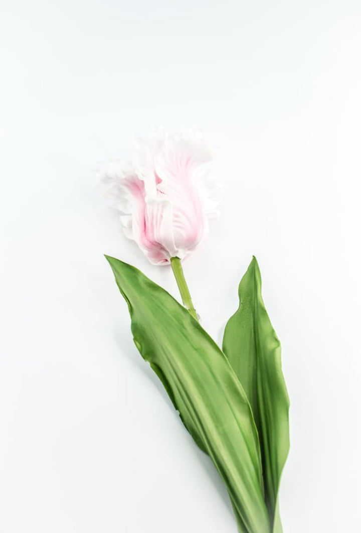 Artificial, pink, parrot tulip stem - Greenery MarketArtificial Flora2260032LP