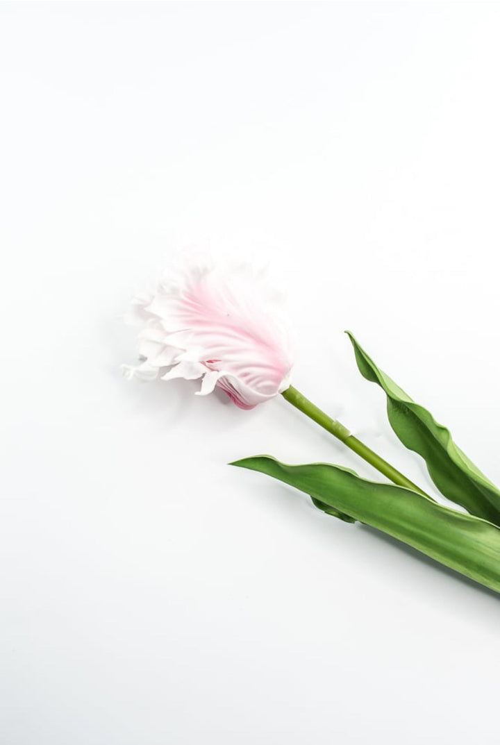 Artificial, pink, parrot tulip stem - Greenery MarketArtificial Flora2260032LP