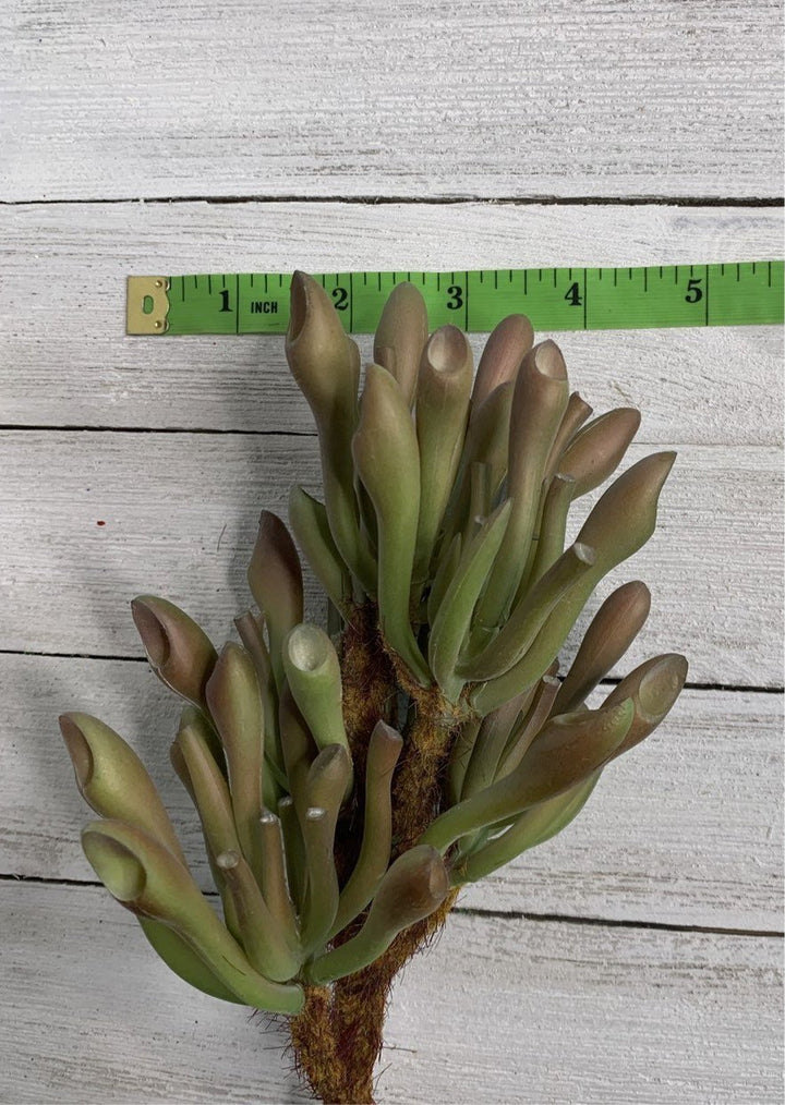 Artificial succulent, tube succulent, - Greenery MarketArtificial Succulents24146