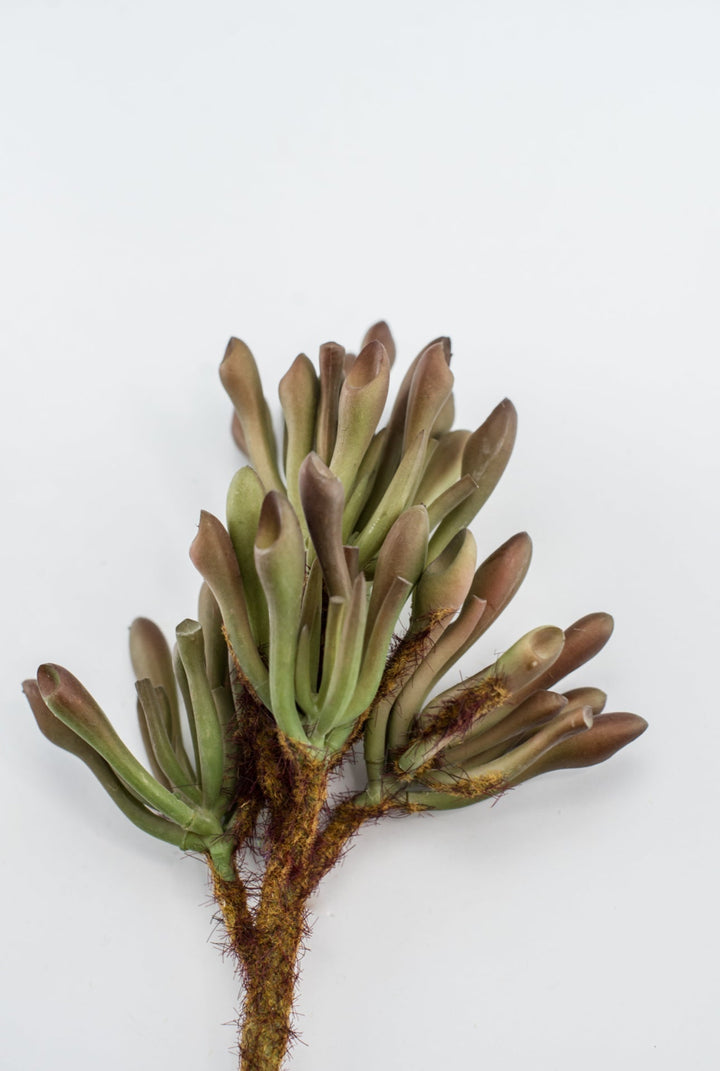 Artificial succulent, tube succulent, - Greenery MarketArtificial Succulents24146