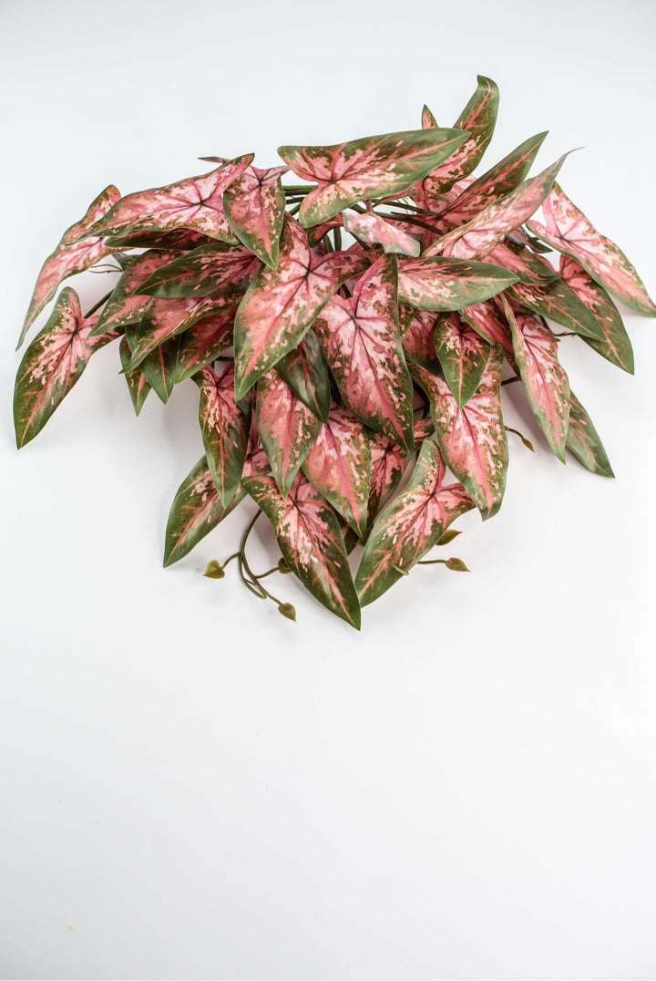 Artificial syngonium vine - pink green - Greenery MarketgreeneryMTF24325 PKGR