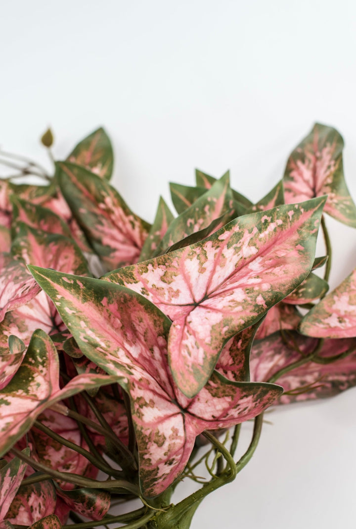 Artificial syngonium vine - pink green - Greenery MarketgreeneryMTF24325 PKGR