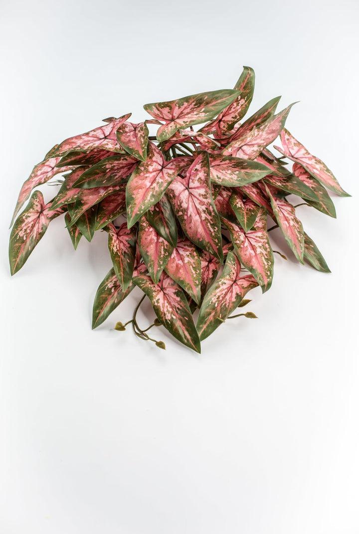 Artificial syngonium vine - pink green - Greenery MarketgreeneryMTF24325 PKGR