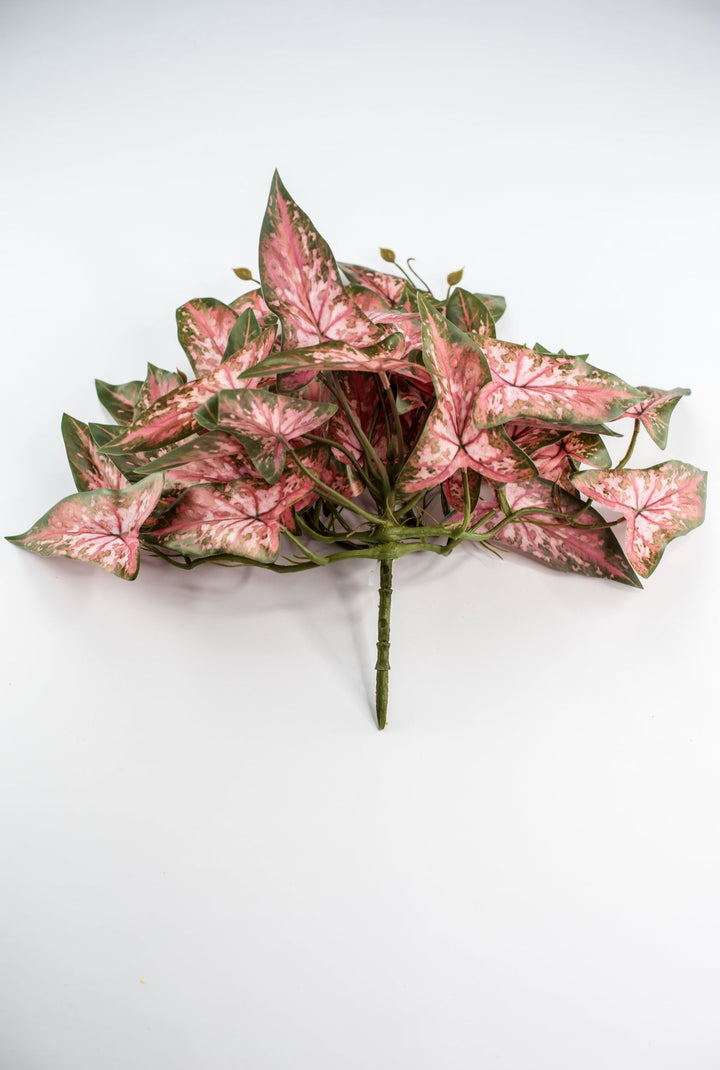 Artificial syngonium vine - pink green - Greenery MarketgreeneryMTF24325 PKGR