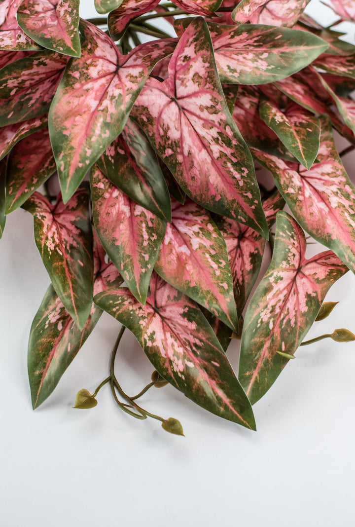 Artificial syngonium vine - pink green - Greenery MarketgreeneryMTF24325 PKGR