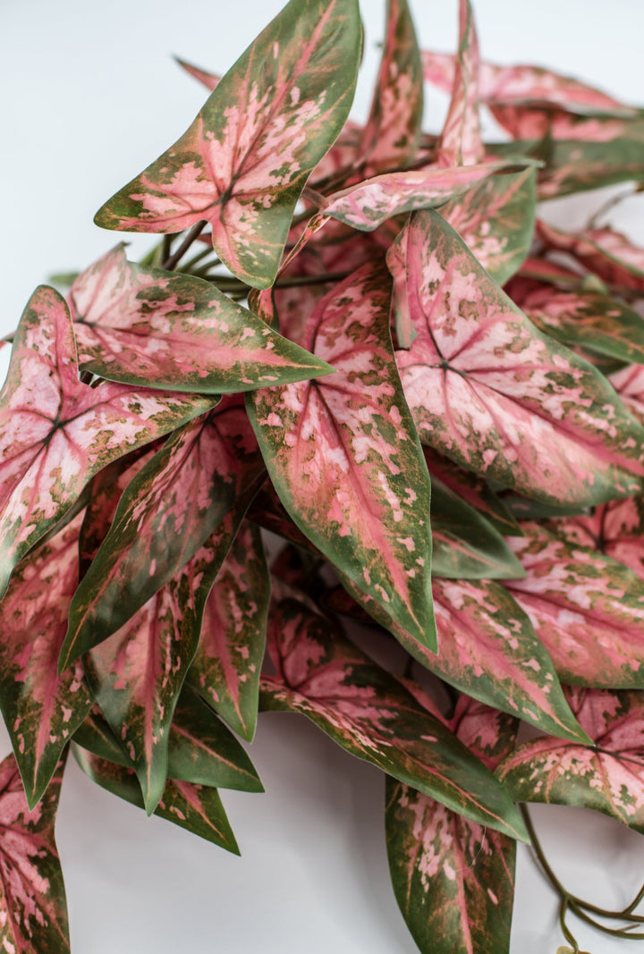 Artificial syngonium vine - pink green - Greenery MarketgreeneryMTF24325 PKGR