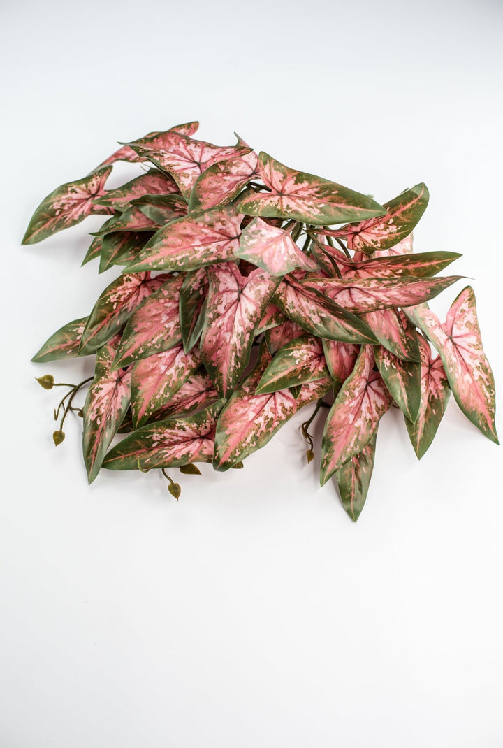 Artificial syngonium vine - pink green - Greenery MarketgreeneryMTF24325 PKGR