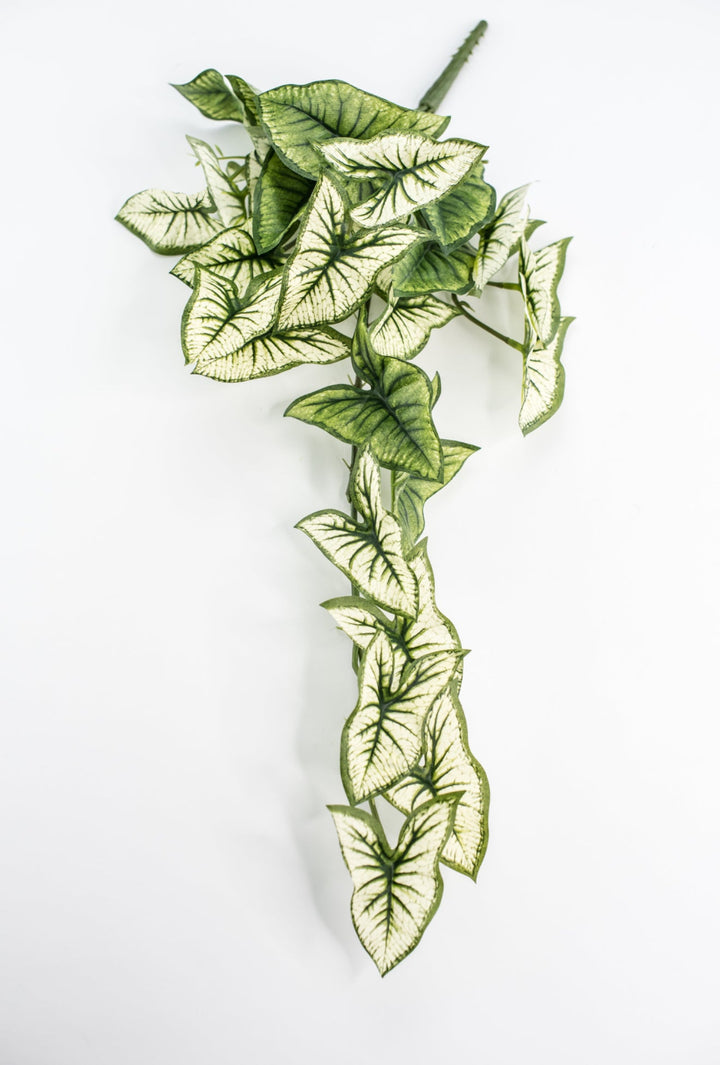 Artificial syngonium vine - Greenery MarketgreeneryMTF23617