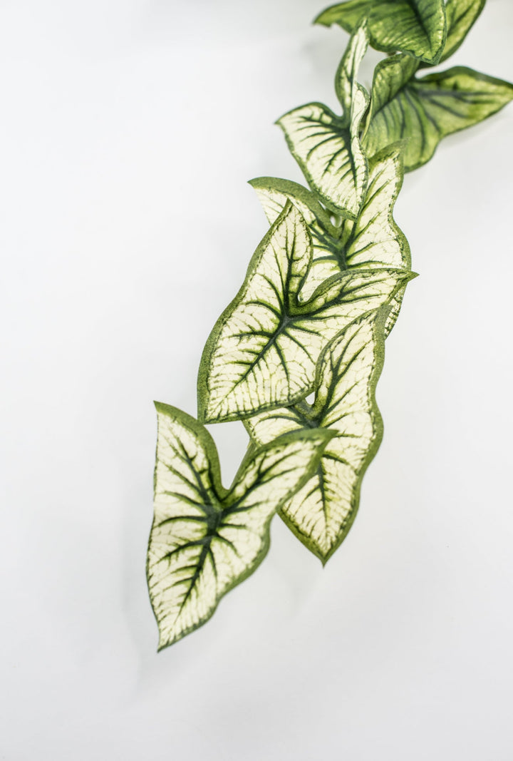 Artificial syngonium vine - Greenery MarketgreeneryMTF23617