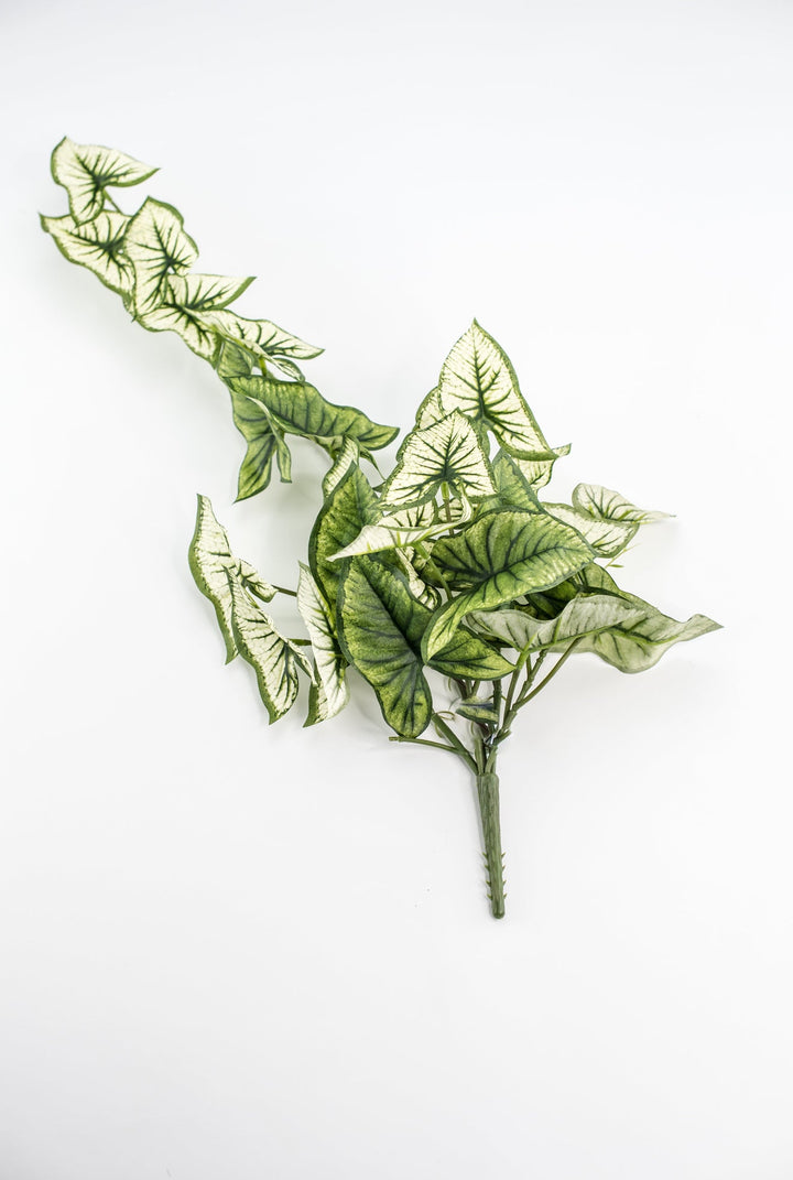 Artificial syngonium vine - Greenery MarketgreeneryMTF23617