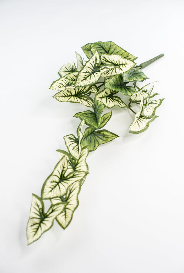 Artificial syngonium vine - Greenery MarketgreeneryMTF23617