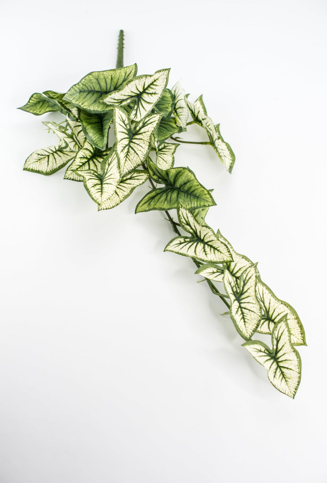 Artificial syngonium vine - Greenery MarketgreeneryMTF23617