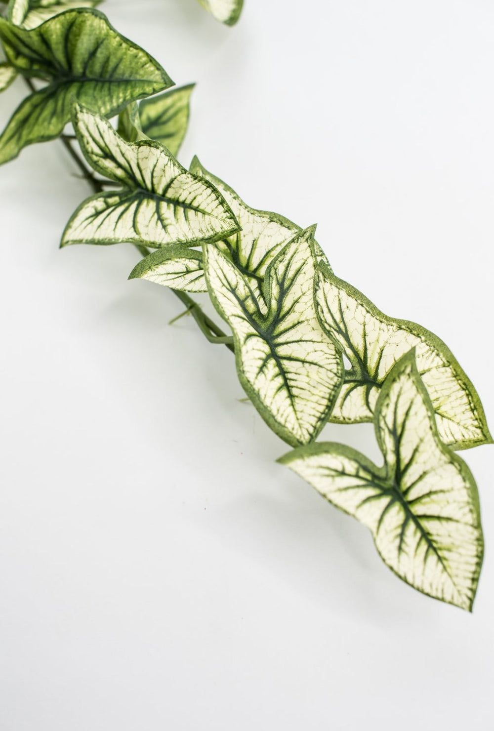 Artificial syngonium vine - Greenery MarketgreeneryMTF23617