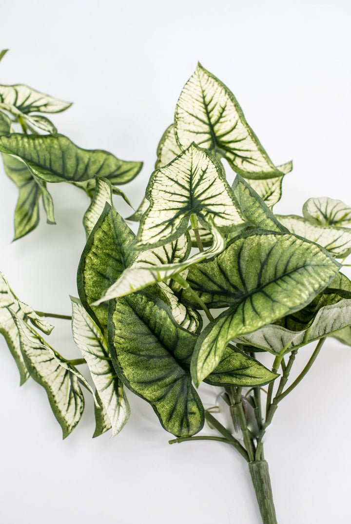 Artificial syngonium vine - Greenery MarketgreeneryMTF23617