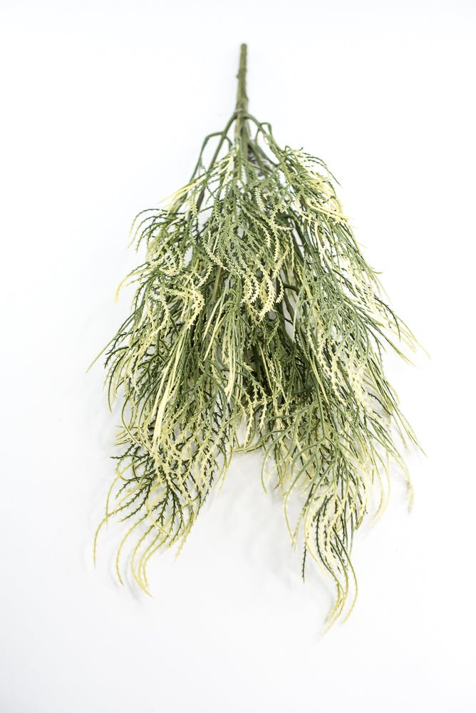 Artificial, Tassel Grass Bush - Greenery MarketPBG361 - GR