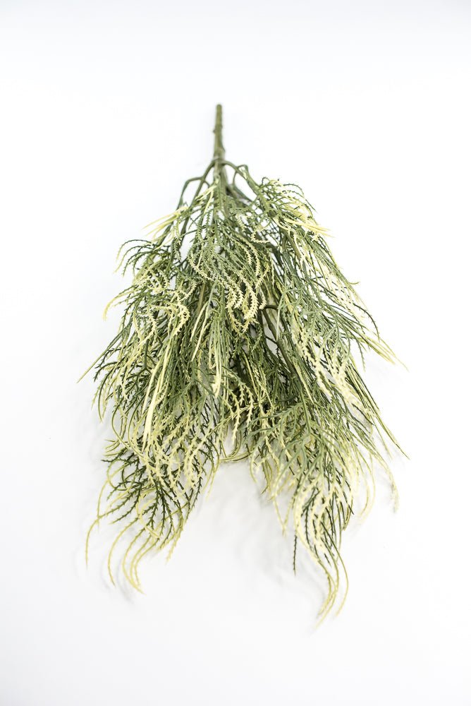 Artificial, Tassel Grass Bush - Greenery MarketPBG361 - GR