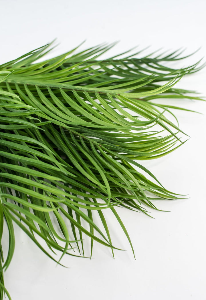 Artificial tropical palm bush - Greenery MarketgreeneryPBP155 - GR