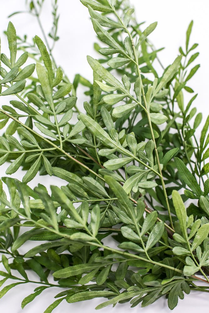 Artificial, UV Fern Bush - Greenery MarketPBF009 - GR
