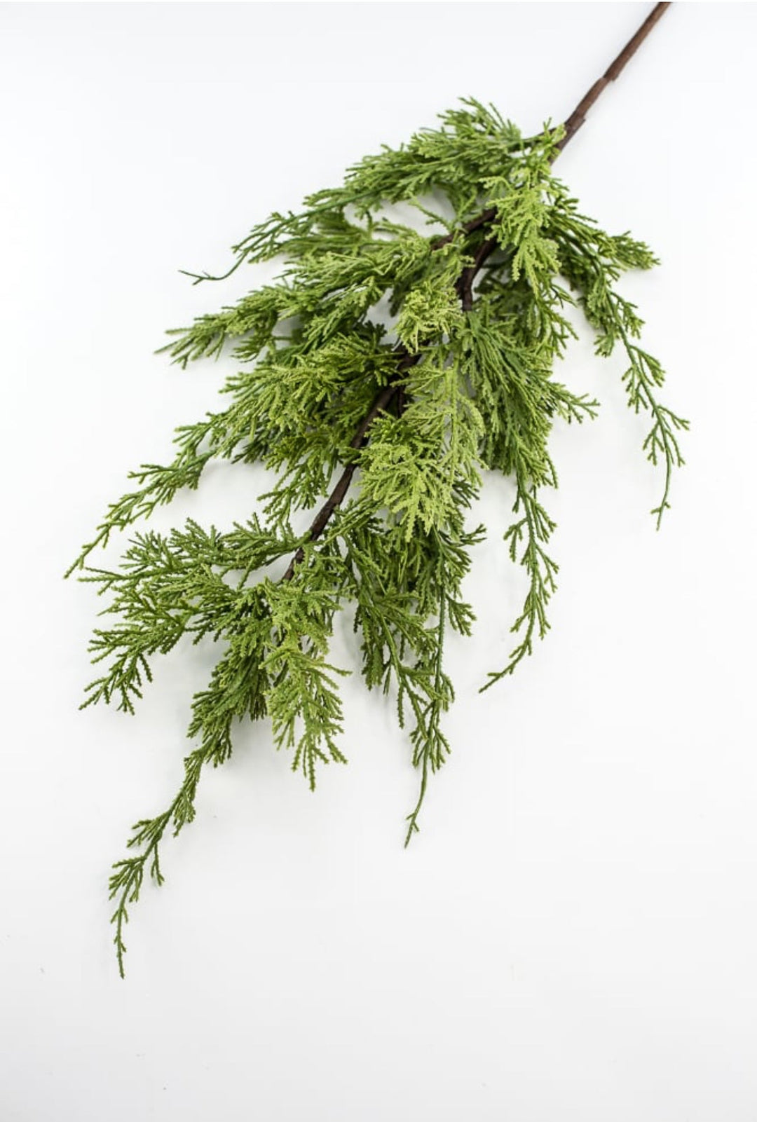 Artificial, varigated, cedar spray - Greenery Marketgreenery2830338GR