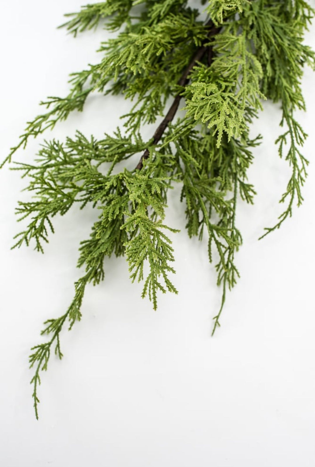 Artificial, varigated, cedar spray - Greenery Marketgreenery2830338GR