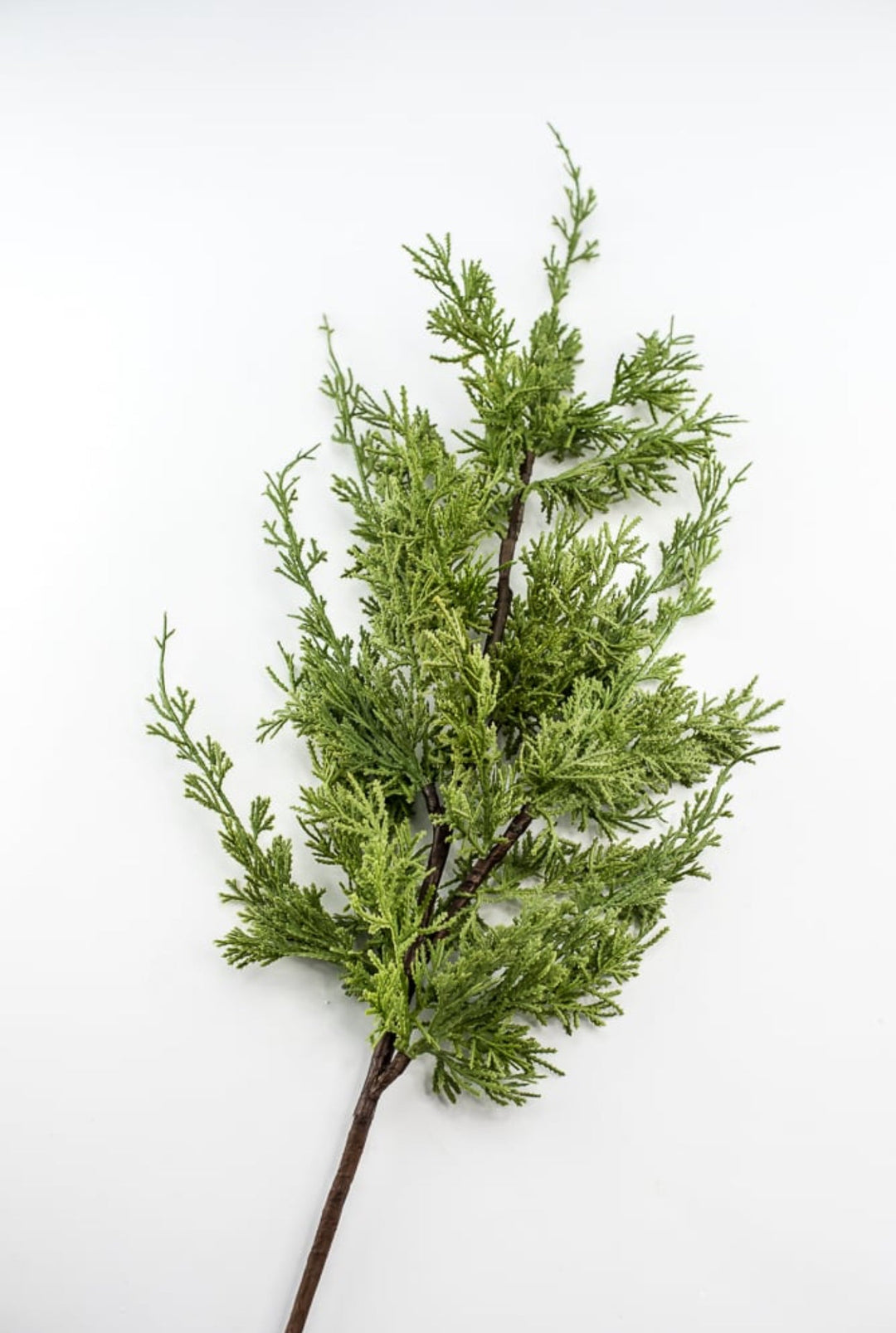 Artificial, varigated, cedar spray - Greenery Marketgreenery2830338GR