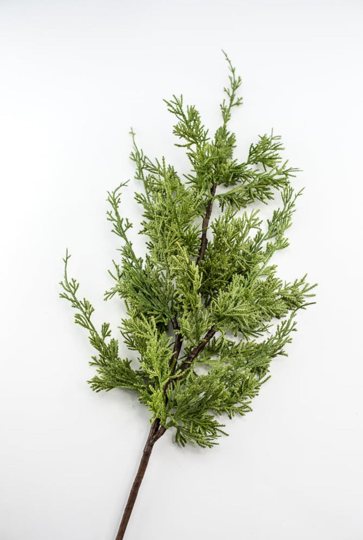 Artificial, varigated, cedar spray - Greenery Marketgreenery2830338GR