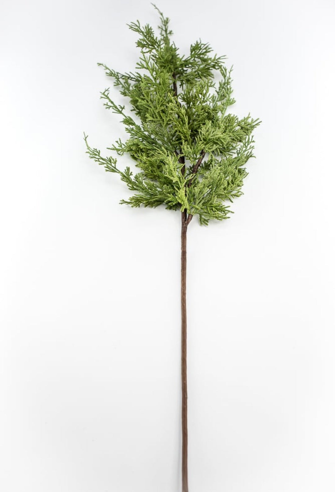 Artificial, varigated, cedar spray - Greenery Marketgreenery2830338GR