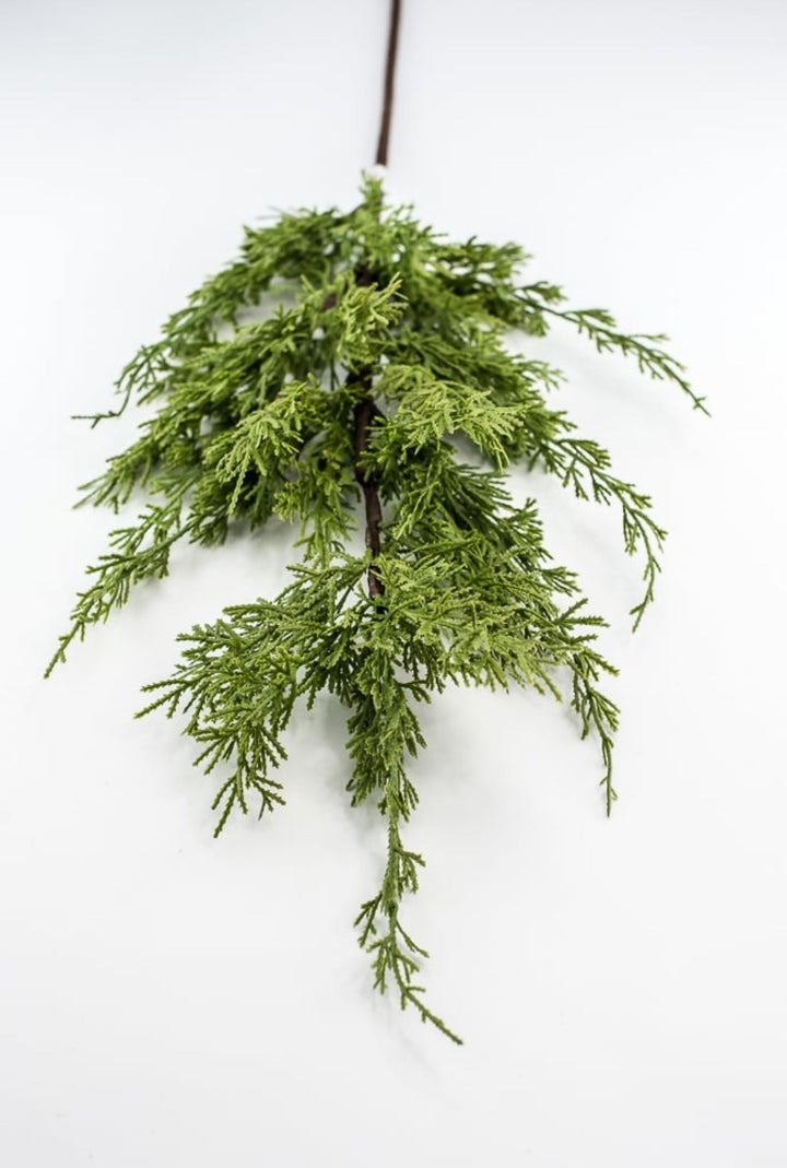 Artificial, varigated, cedar spray - Greenery Marketgreenery2830338GR
