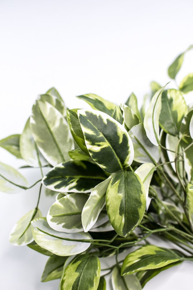 Artificial , Varigated, Euphorbia Leaves Bush - Greenery MarketPBE121 - GR/VG