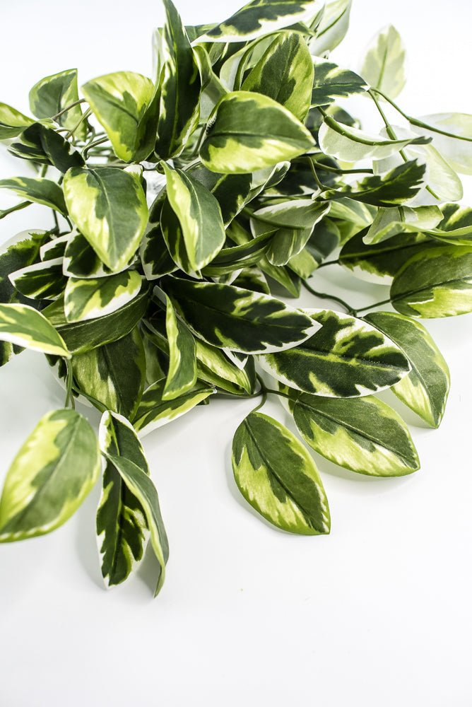 Artificial , Varigated, Euphorbia Leaves Bush - Greenery MarketPBE121 - GR/VG