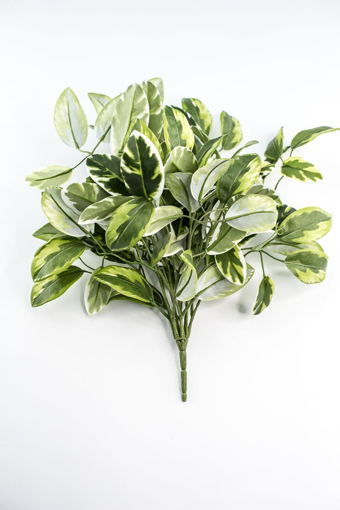 Artificial , Varigated, Euphorbia Leaves Bush - Greenery MarketPBE121 - GR/VG