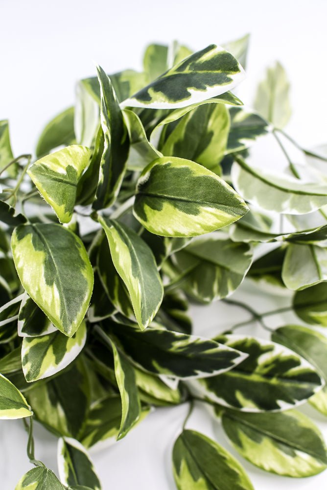 Artificial , Varigated, Euphorbia Leaves Bush - Greenery MarketPBE121 - GR/VG