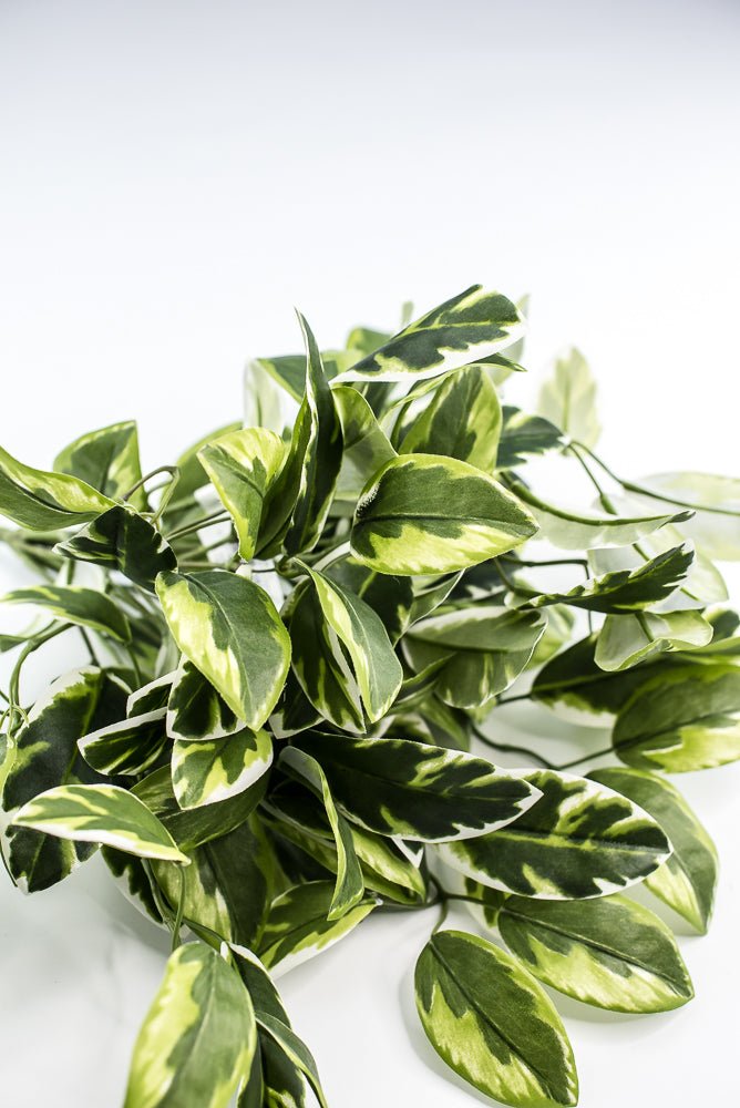 Artificial , Varigated, Euphorbia Leaves Bush - Greenery MarketPBE121 - GR/VG