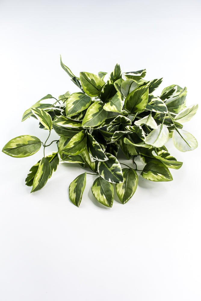 Artificial , Varigated, Euphorbia Leaves Bush - Greenery MarketPBE121 - GR/VG