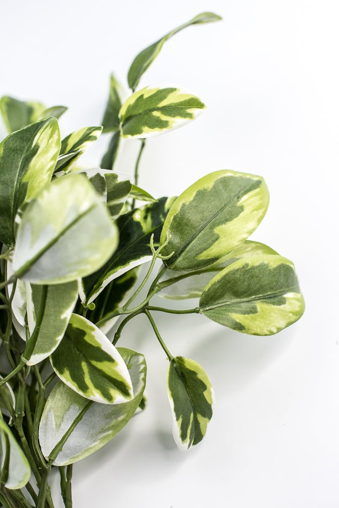 Artificial , Varigated, Euphorbia Leaves Bush - Greenery MarketPBE121 - GR/VG