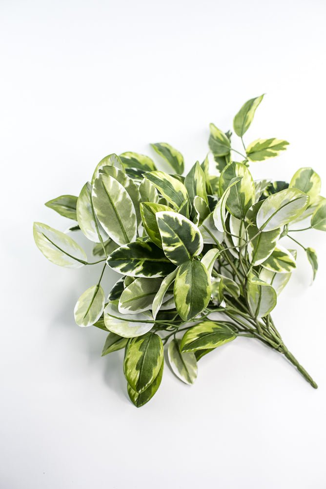 Artificial , Varigated, Euphorbia Leaves Bush - Greenery MarketPBE121 - GR/VG