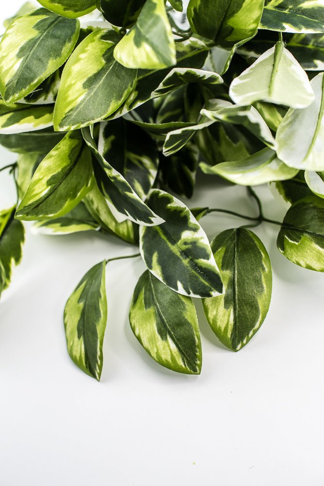 Artificial , Varigated, Euphorbia Leaves Bush - Greenery MarketPBE121 - GR/VG