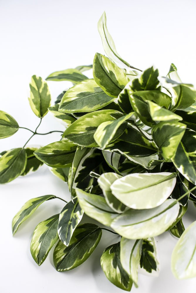 Artificial , Varigated, Euphorbia Leaves Bush - Greenery MarketPBE121 - GR/VG