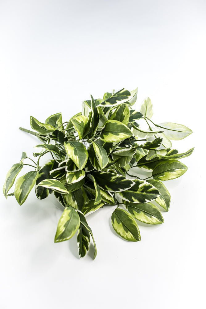 Artificial , Varigated, Euphorbia Leaves Bush - Greenery MarketPBE121 - GR/VG