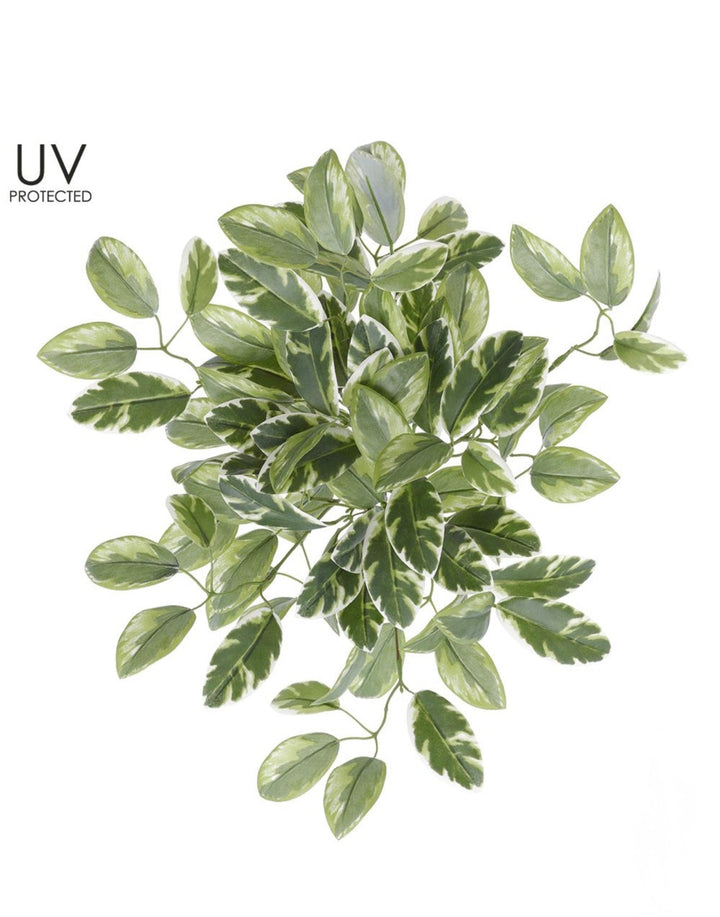 Artificial , Varigated, Euphorbia Leaves Bush - Greenery MarketPBE121 - GR/VG