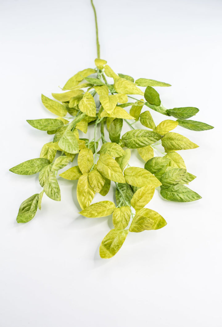 Artificial White Ash Leaf Spray - 33” - Greenery MarketPSA265 - GR/TT