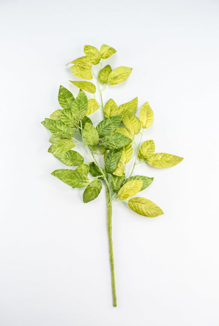 Artificial White Ash Leaf Spray - Greenery MarketPSA264 - GR/TT