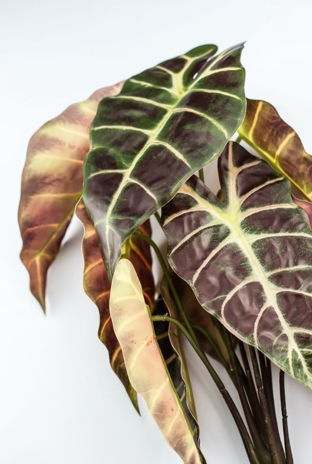 Artificial wild elephant ear bush - Greenery MarketgreeneryFL6481 - GBU