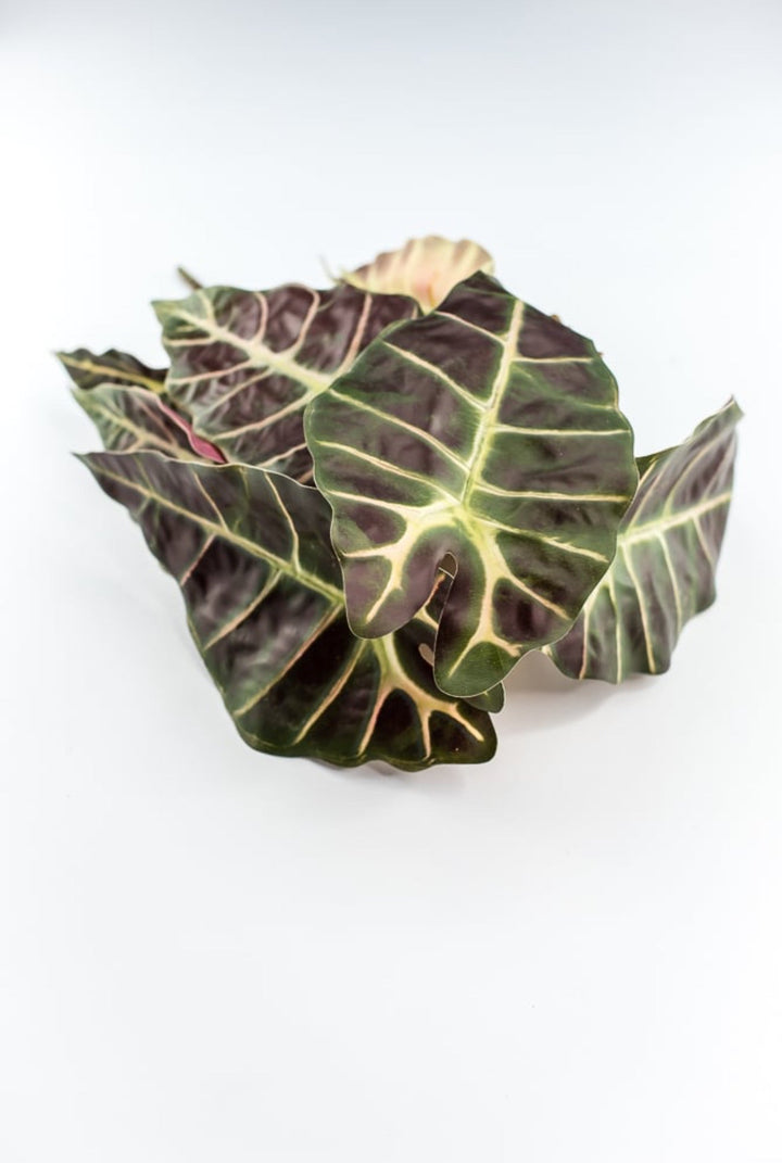 Artificial wild elephant ear bush - Greenery MarketgreeneryFL6481 - GBU