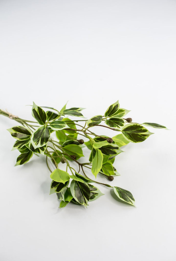 Artificial wild euonymus soft touch - Greenery MarketgreeneryMTF24617