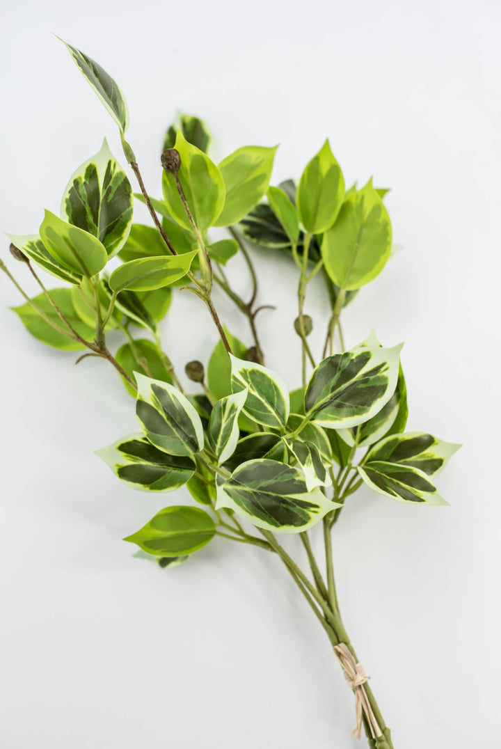 Artificial wild euonymus soft touch - Greenery MarketgreeneryMTF24617