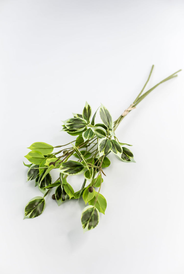 Artificial wild euonymus soft touch - Greenery MarketgreeneryMTF24617