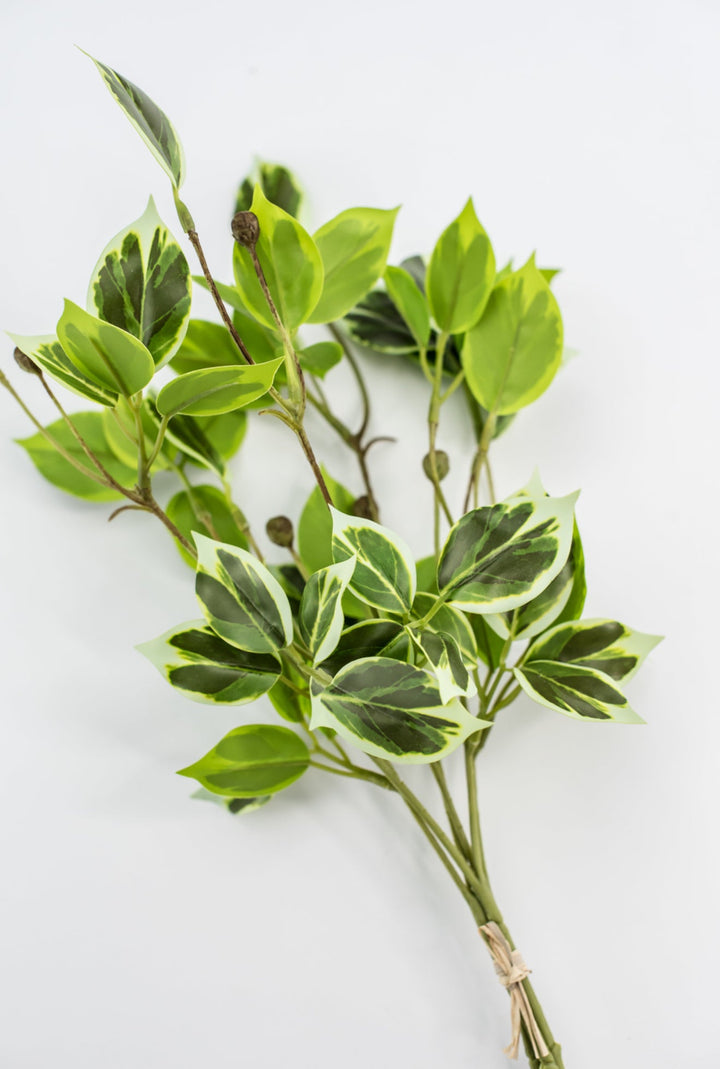 Artificial wild euonymus soft touch - Greenery MarketgreeneryMTF24617