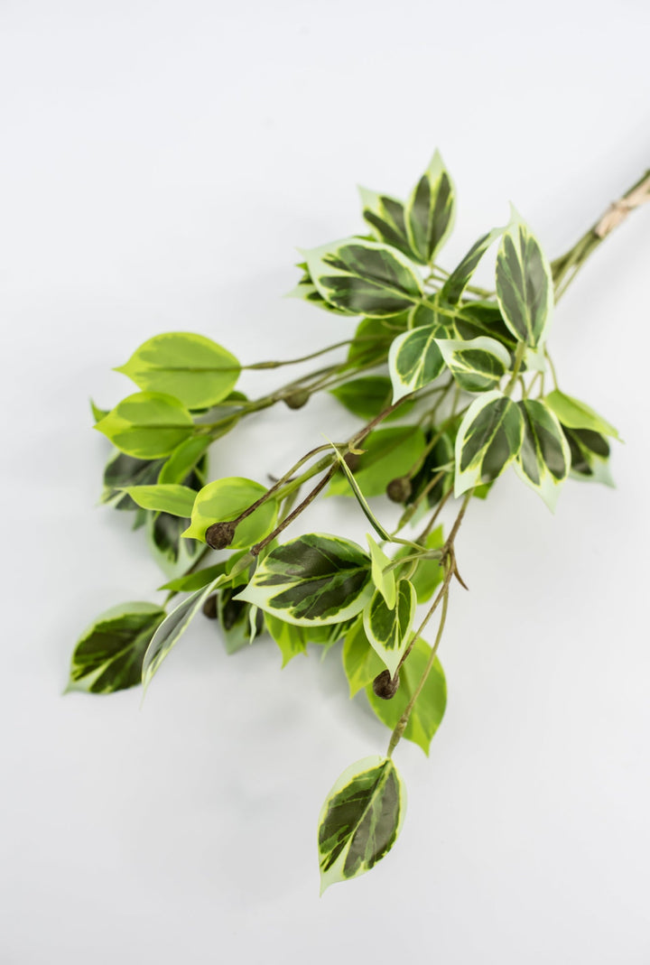 Artificial wild euonymus soft touch - Greenery MarketgreeneryMTF24617