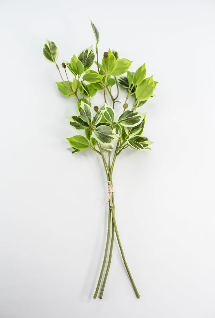 Artificial wild euonymus soft touch - Greenery MarketgreeneryMTF24617